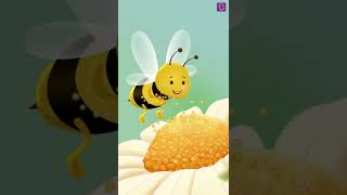 Pollination  Self pollination  Cross pollination  short  pollination short shortvideo [upl. by Oidale]