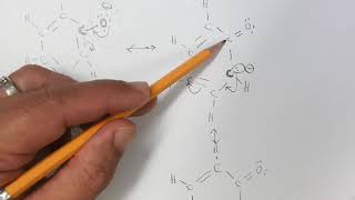 CHM 230 acidity of phenol 3 5 [upl. by Elspet]