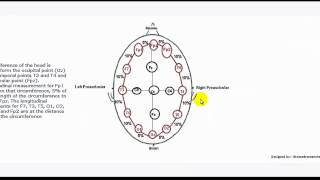 Understanding EEG Part 4 1020 electrode placement system used in electroencephalography EEG test [upl. by Anatnom]