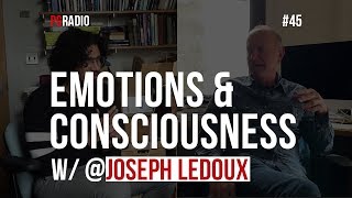 45 Emotions and Consciousness w Joseph LeDoux [upl. by Irrep]