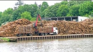 Holzverladung im Papenburger Hafen  Loading wood in the Papenburg Harbor Germany [upl. by Anesusa]