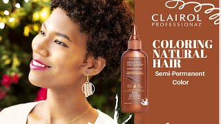 Coloring My Natural Hair With Clairol Pro Beautiful Collection Kasheeralatasha [upl. by Assirt809]