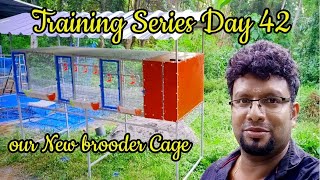 our New brooder cage Poultry Training Series Day 42  കോഴിവളർത്തൽ പരിശീലനം Fly well media [upl. by Fendig447]