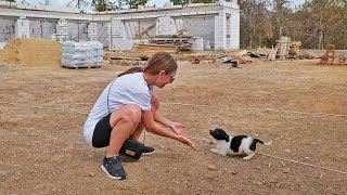 Abandoned Puppy at the Construction Site has Sweetest Reaction to Being Rescued [upl. by Ecyrb11]