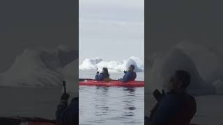 Kayak Tour In Ilulissat  Greenland Backcountry [upl. by Milton310]