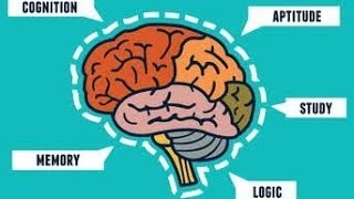 Cognitive Functions Thinking  Reasoning and Problem Solving [upl. by Esirrehc]