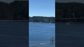 July 5 2024—ferry boats and a beautiful day 🌞 ferry boat [upl. by Trent]