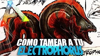 COMO TAMEAR A TU ELECTROPHORUS  Guia Español  Ark Survival Evolved [upl. by Homer55]