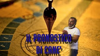 Il pronostico di Canê  7° Giornata [upl. by Bensky]