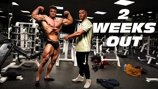 2 WEEKS OUT OF BODYBUILDING SHOW  POSING AND WORKOUT W IFBB PRO [upl. by Compte]