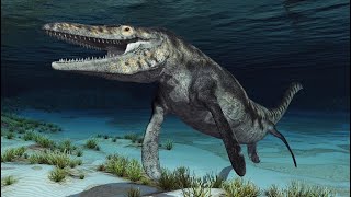 The Tylosaurus Prehistoric Predator [upl. by Rinna420]