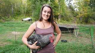 Filling Our Freezer  Butchering Meat Chickens [upl. by Gwenny]