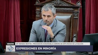 EXPRESIONES EN MINORÍA 20 de noviembre de 2024  FICHA LIMPIA  Diputados Argentina  COMPLETA [upl. by Hallee]