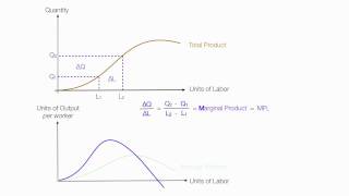 Introduction to Production Introduction Average Product Marginal Product Total Product [upl. by Retep]