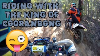 RIDING WITH THE KING OF COORANBONG Watagans Cooranbong Yamaha WR250R WR450F WR250F KTM [upl. by Hannala]