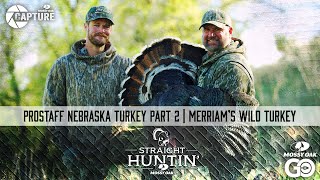 Prostaff Nebraska Turkey Part 2  Merriams Wild Turkey  Straight Huntin [upl. by Hoover]