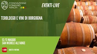 Teroldego e Vini di Borgogna [upl. by Enyale]