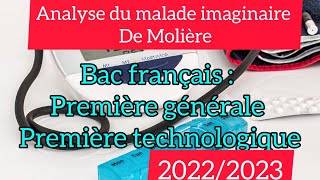 Le malade imaginaire de Molière personnages caractéristiques et thématiques résumé de lacte 1 [upl. by Rodolfo]