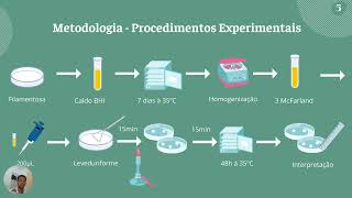 Sensibilidade in vitro de isolados de Sporothrix spp a antifúngicos comerciais [upl. by Tecla965]