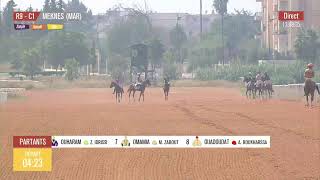 Live Hippodrome « MEKNES »  Courses du «19092024 » [upl. by Nuli]