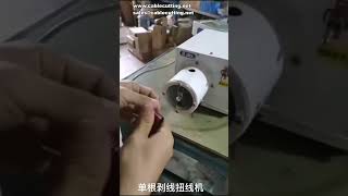 Gas electric peeling and twisting machine cable twisting machine rubber wire peeling and twisting [upl. by Jordain]