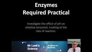 06 Enzymes Required Practical AQA GCSE Biology [upl. by Eelrebmyk]