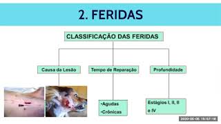 Feridas e Curativos [upl. by Eilla655]