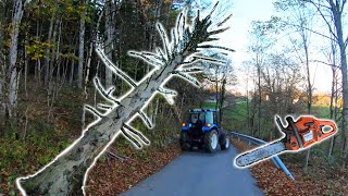 Farmers POV  Clearing Dangerous Hung Trees  New Holland T475 Husqvarna 353 [upl. by Peoples764]