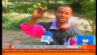 Kikundi cha vijana wanaokuza mimea katika bustani Ukunda Kwale [upl. by Guise776]