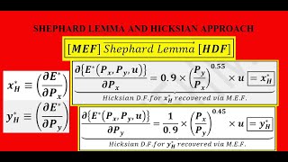 Shephard Lemma Minimized Expenditure Function amp Hicksian Demand Functions [upl. by Inattirb]