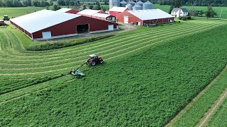 Making Gorgeous Alfalfa with my Dad Step by Step Guide [upl. by Hasile]