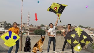 Kite Flying Challenge With Black Dog [upl. by Migeon698]