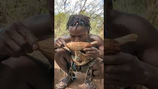 Primitive life hadzabe shortsvideo africa [upl. by Alel]