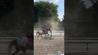 Was eq eqing Personally I think I was overfolding 🤷‍♀️🤷‍♀️  emmatheequestrian [upl. by Nitsuj652]