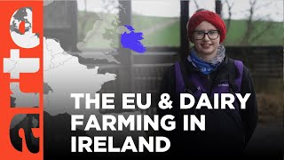 Louise the dairy cow farmer in Ireland  ARTEtv Documentary [upl. by Irat846]