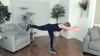 Full Body Balance amp Coordination  Strength  Beginner to Intermediate  50 minutes [upl. by Eelidnarb601]