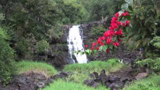 Waimea Falls Tour  Things to Do in Oahu Hawaii [upl. by Aissej190]