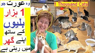 Woman lives with 1000 Cats  Story of  The Cat Lady [upl. by Sitnerp]