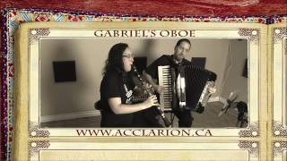 acclarion plays gabriels oboe by morricone on accordion and clarinet [upl. by Nnel]