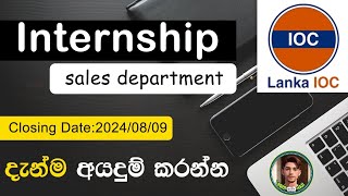 Jobs in Sri Lanka 2024 Internship  Sinhala  Learn with HASI [upl. by Hamitaf]