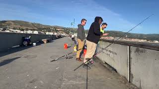 Late Season Dungeness Crabbing At Pacifica Pier 2024SPOKEN OUTDOORS [upl. by Oiril]