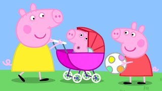 Het Baby Biggetje 🍼 Tekenfilm  Peppa Pig Nederlands Compilatie Nieuwe Afleveringen [upl. by Rehpotsirahc851]