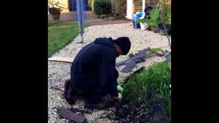 Everedge installation as part of a garden tidy in Horsham [upl. by Einnov]