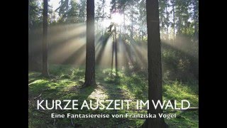 Fantasiereise  Entspannungsgeschichte  Traumreise  Kurze Auszeit im Wald  Phantasiereise [upl. by Nixie]