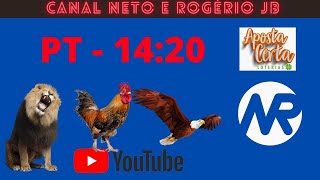 RESULTADO AO VIVO ROGERIO E NETO JB  PT  13112024 [upl. by Coshow]