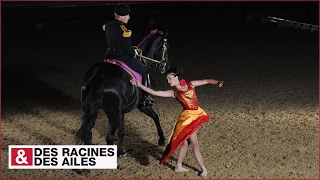 Spectacle du Cadre Noir élite de la cavalerie française [upl. by Nallak455]