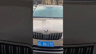 Skoda Karoq в красивом цвете [upl. by Firehs]