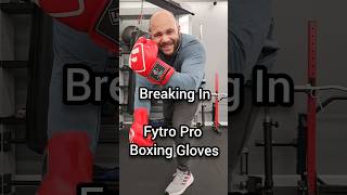 Breaking In Fytro Pro Boxing Gloves boxing mma muaythai kickboxing wrestling bjj [upl. by Verena]