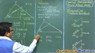 RESOLUCION DE TRIANGULOS RECTANGULOS PROBLEMA RESUELTO [upl. by Cogswell]