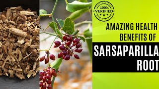 Unlocking the Secrets of Sarsaparilla Root A Journey into Its Health Benefits [upl. by Sedberry]